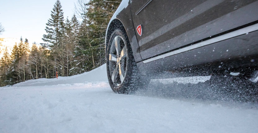 Ice Tire Tires Winterforce | Snow & | on Traction Firestone